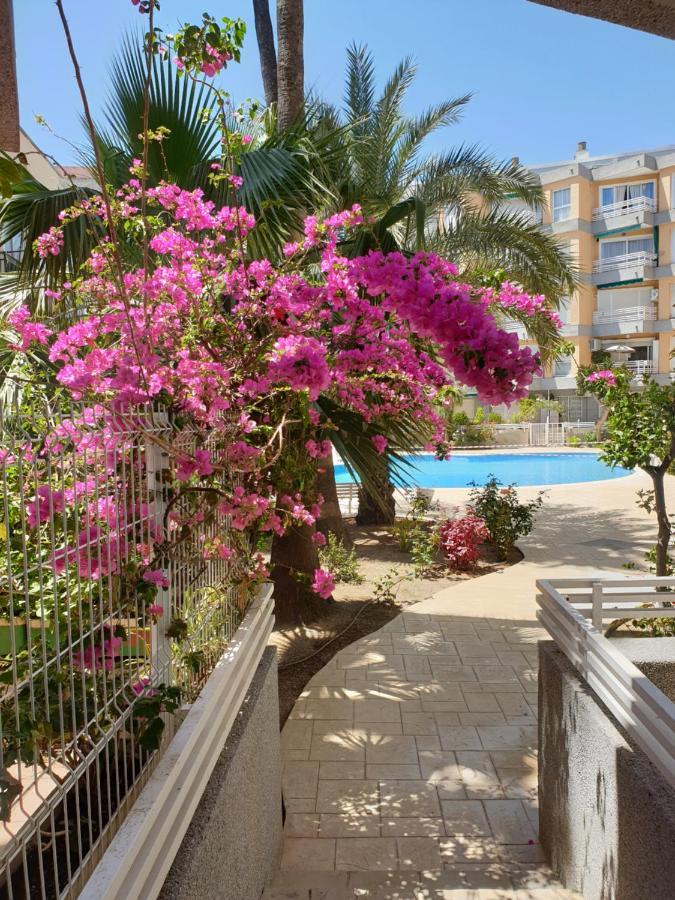 Estrella Home Салоу Екстериор снимка